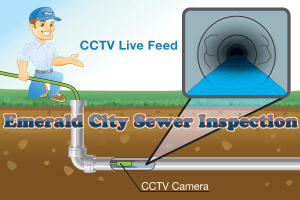 Emerald City Sewer Inspection logo
