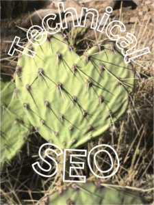 Take lots of pictures 14 Technical SEO cactus