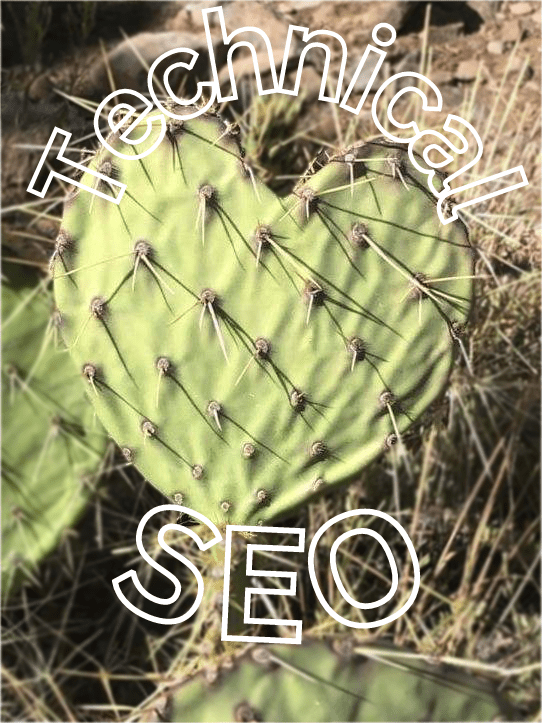 Technical SEO cactus