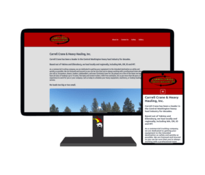 carrel crane website portfolio image